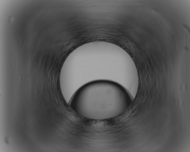 X0000093430235200710120924