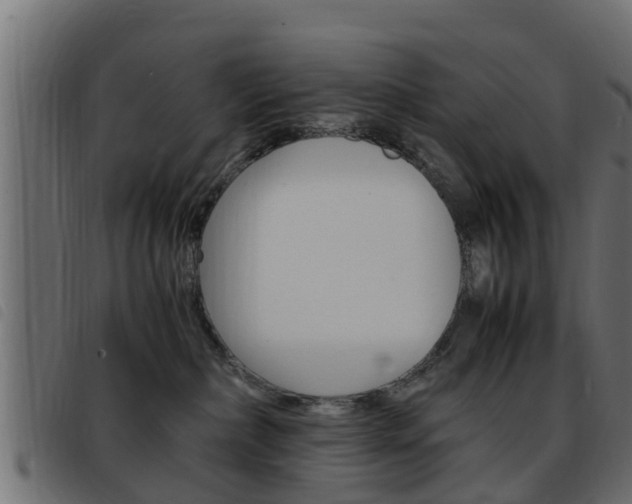 X0000093430236200710120924
