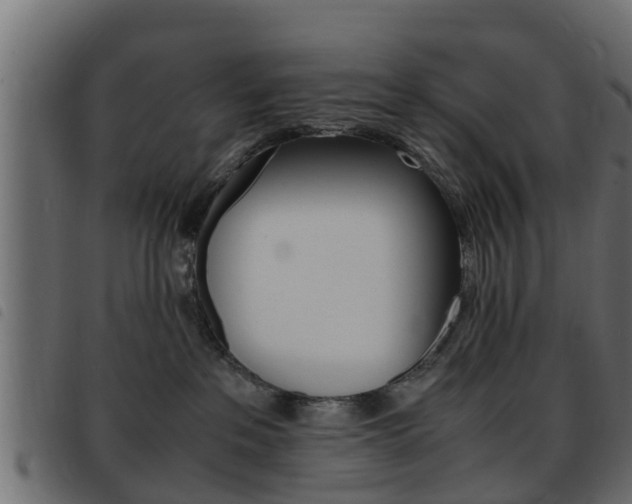 X0000093430237200710120924