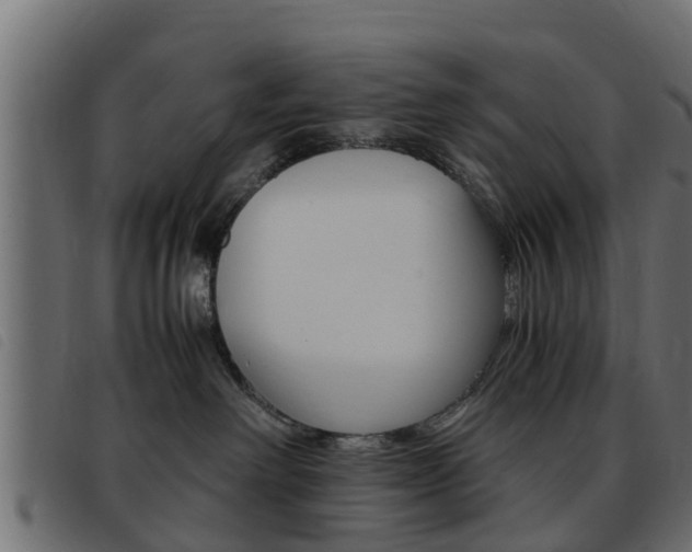 X0000093430238200710120924