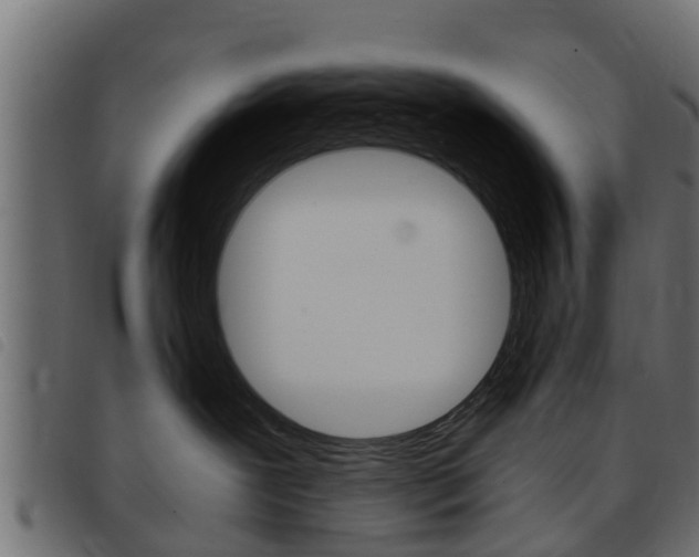 X0000093430239200710120924