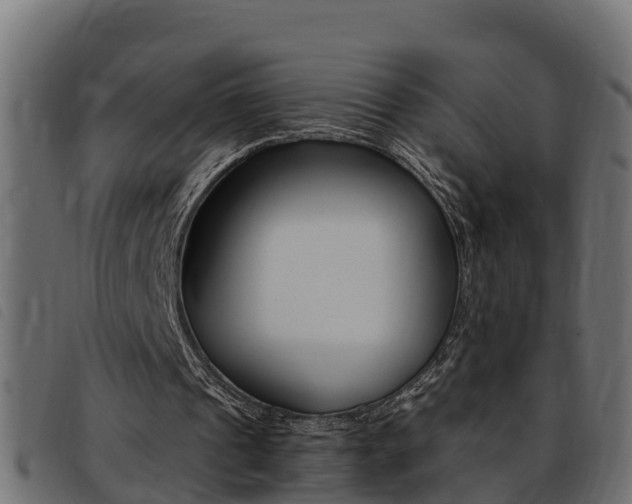 X0000093430241200710120923