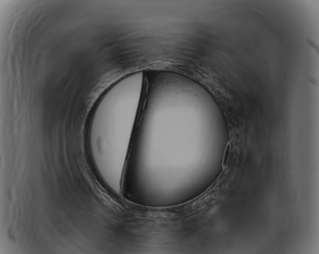 X0000093430242200710120923