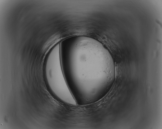 X0000093430243200710120923