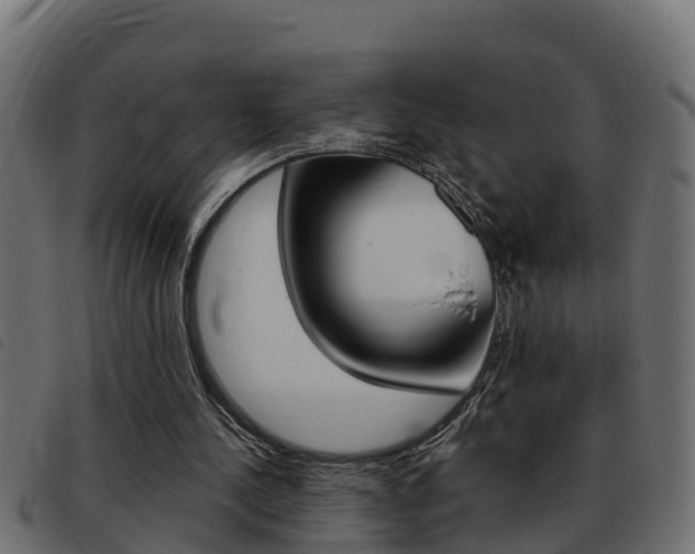 X0000093430244200710120923