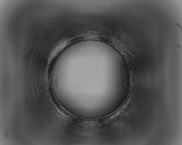 X0000093430245200710120923