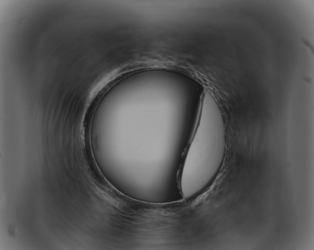 X0000093430246200710120923