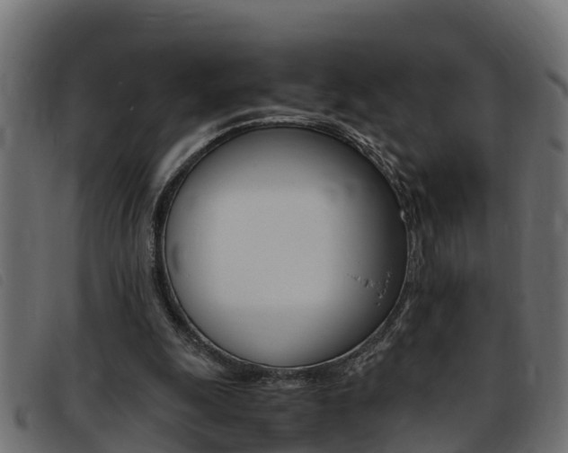 X0000093430247200710120923