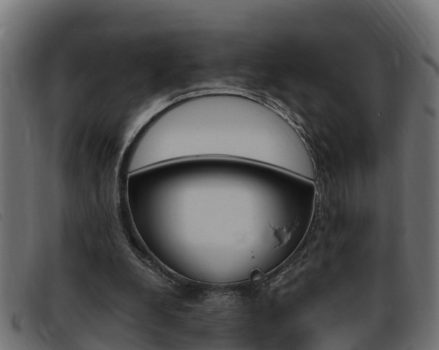 X0000093430248200710120923