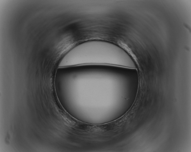 X0000093430249200710120923
