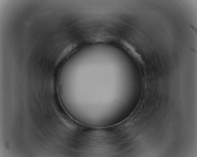 X0000093430250200710120923