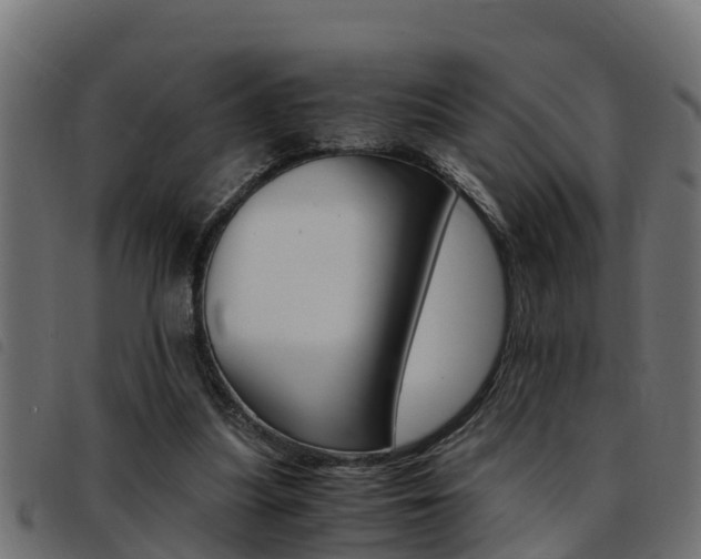 X0000093430251200710120923