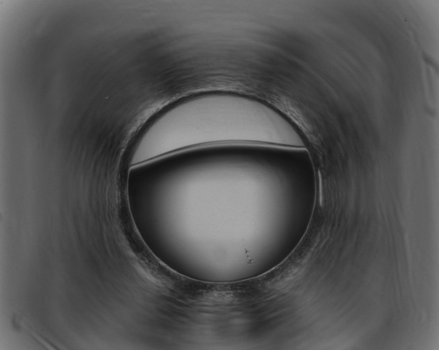 X0000093430252200710120923