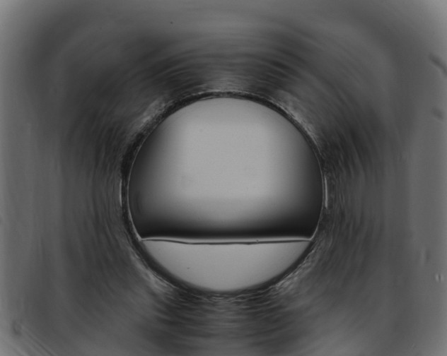 X0000093430253200710120923