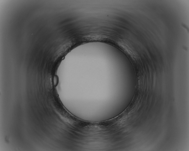 X0000093430254200710120923