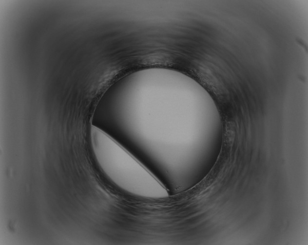 X0000093430255200710120923