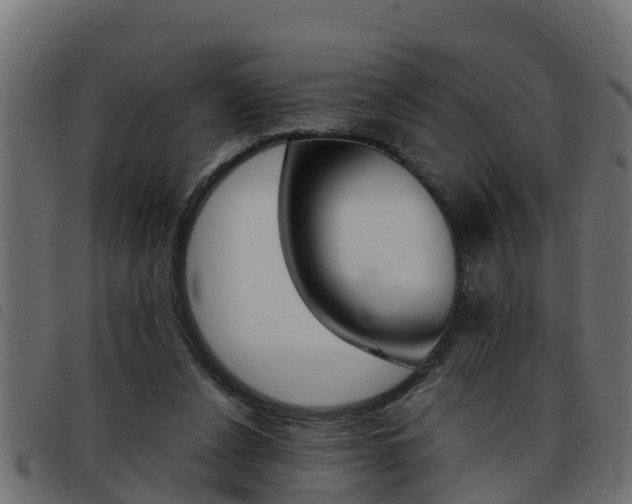 X0000093430256200710120923
