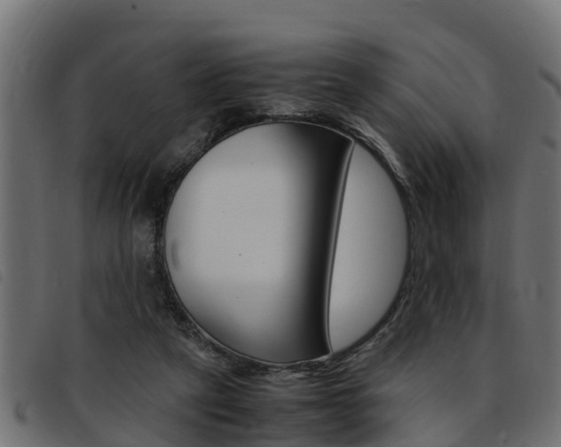 X0000093430257200710120923