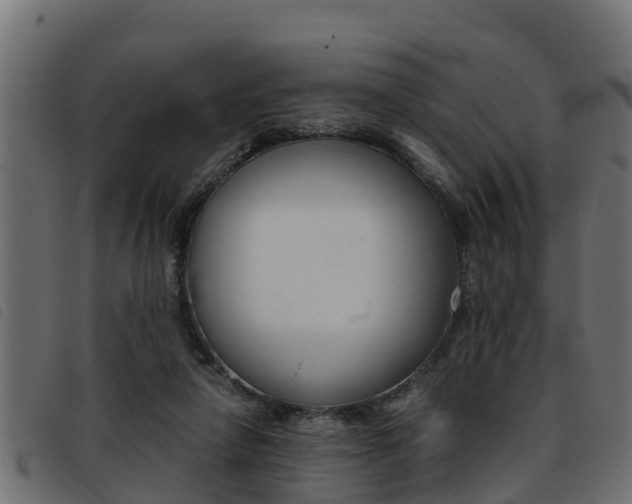X0000093430258200710120924