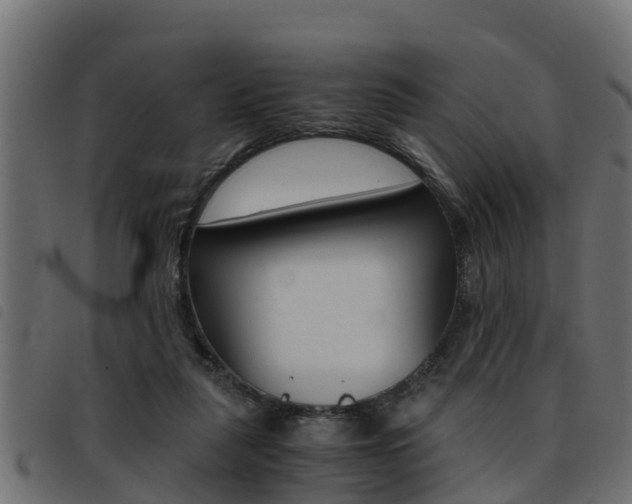 X0000093430259200710120924