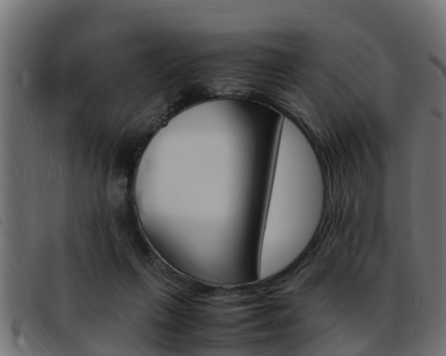 X0000093430263200710120924