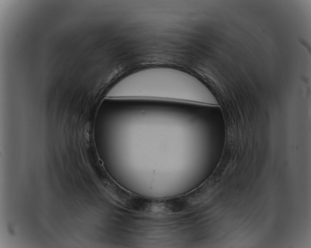 X0000093430264200710120924