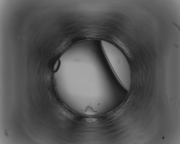 X0000093430265200710120924