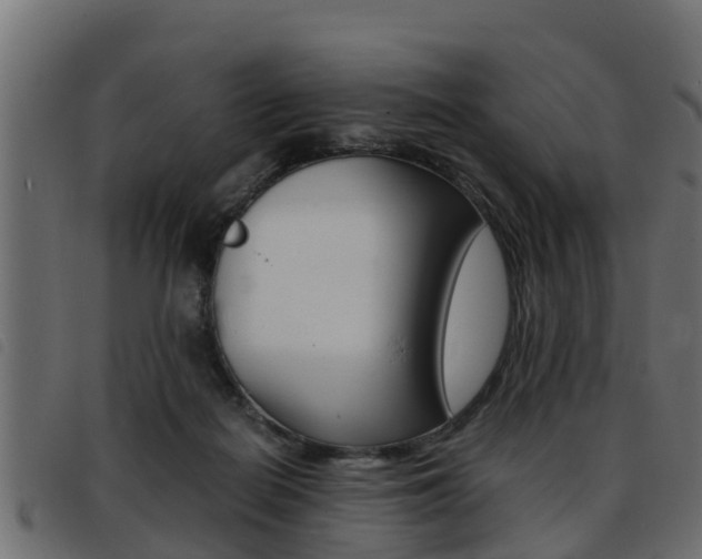 X0000093430266200710120924