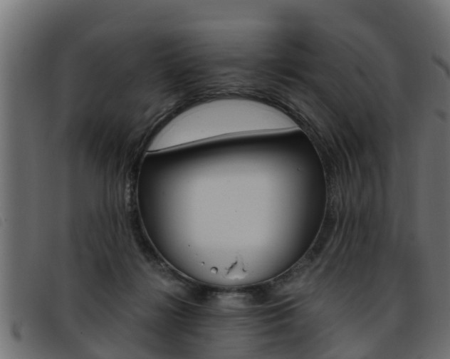 X0000093430268200710120924