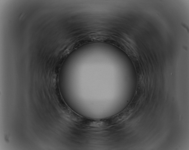 X0000093430271200710120924