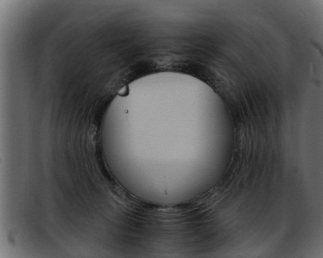 X0000093430275200710120924