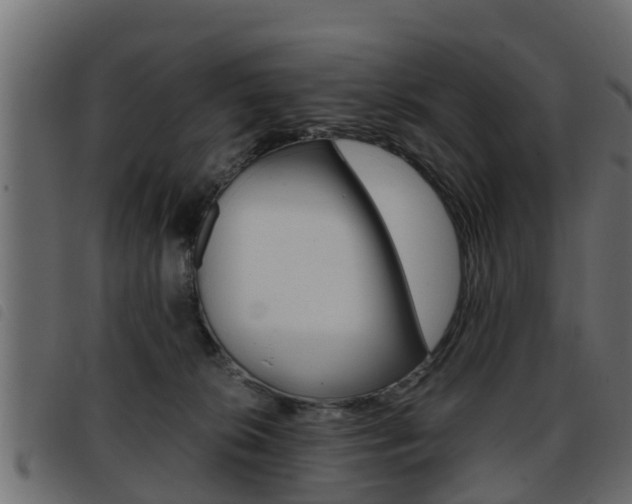 X0000093430276200710120924