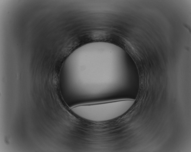 X0000093430277200710120924