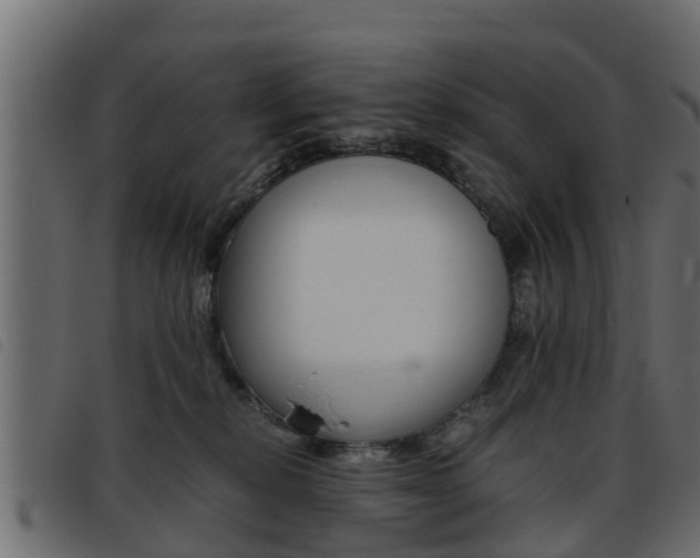 X0000093430278200710120924
