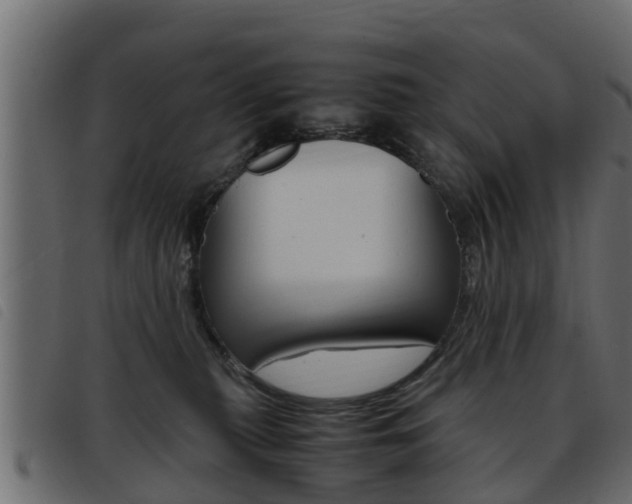 X0000093430279200710120924