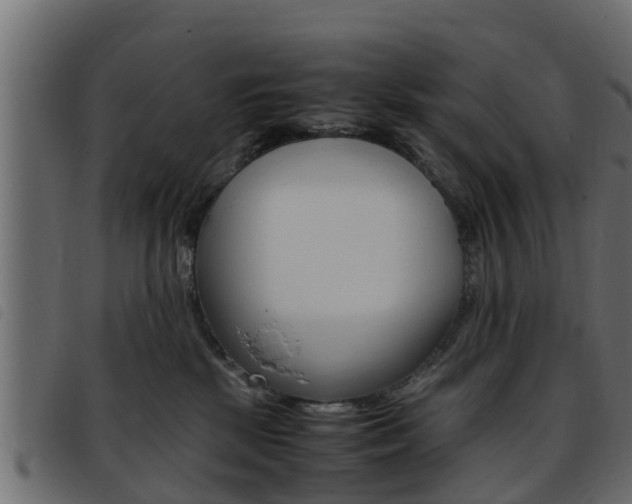X0000093430281200710120924