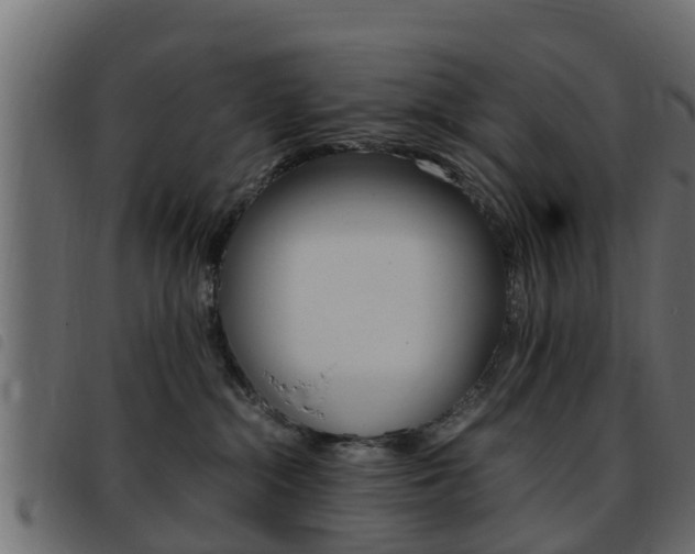X0000093430284200710120924
