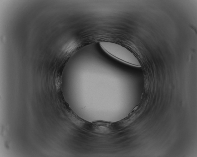 X0000093430285200710120924