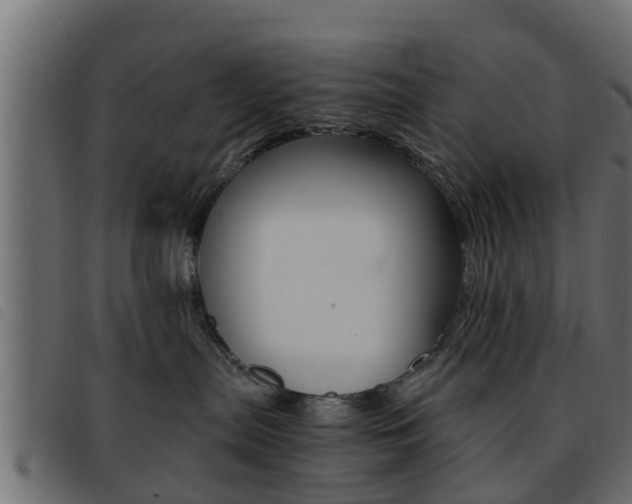 X0000093430287200710120924