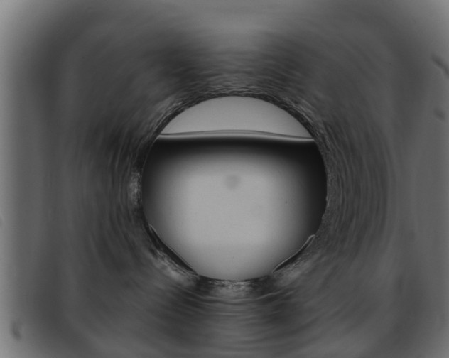 X0000093430288200710120924