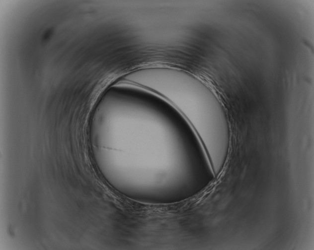 X0000093430289200710120923