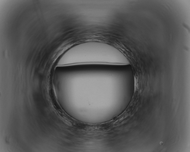 X0000093430291200710120923