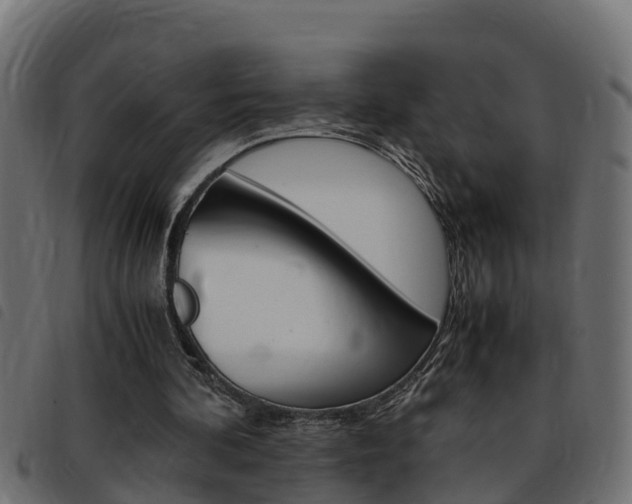 X0000093430292200710120923
