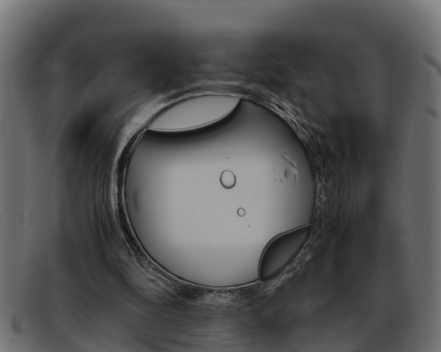 X0000093430294200710120923