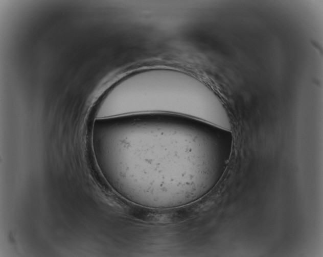 X0000093430295200710120923
