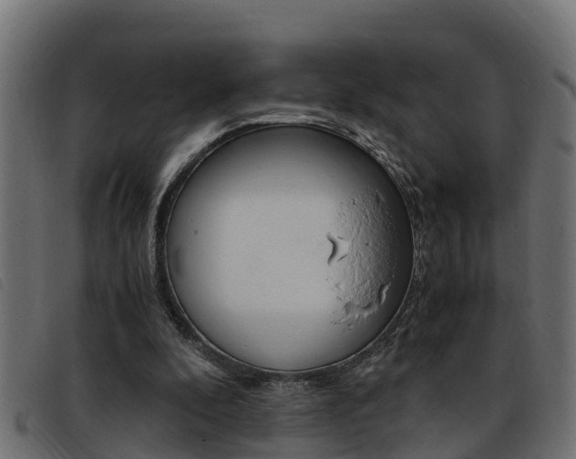 X0000093430296200710120923