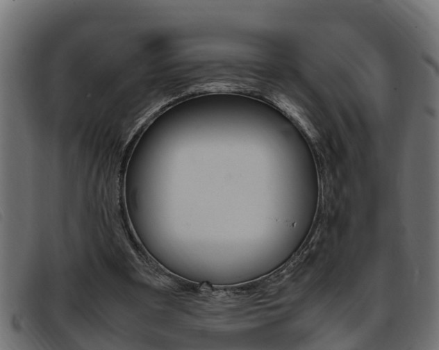 X0000093430297200710120923