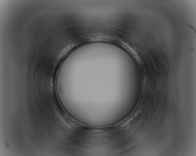 X0000093430298200710120923