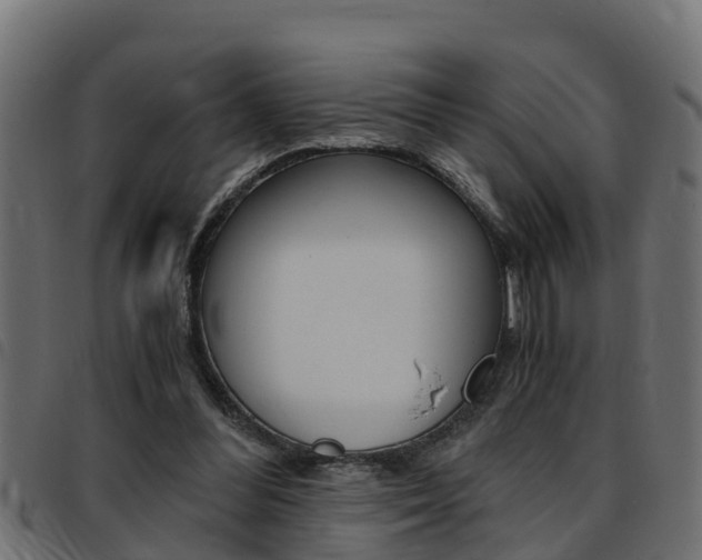 X0000093430300200710120923