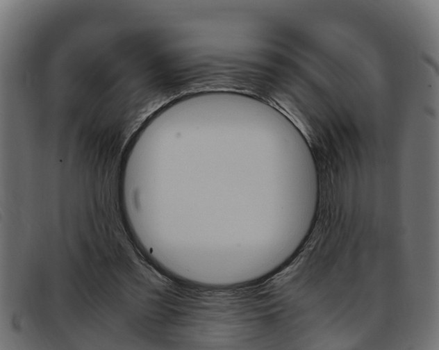 X0000093430301200710120923